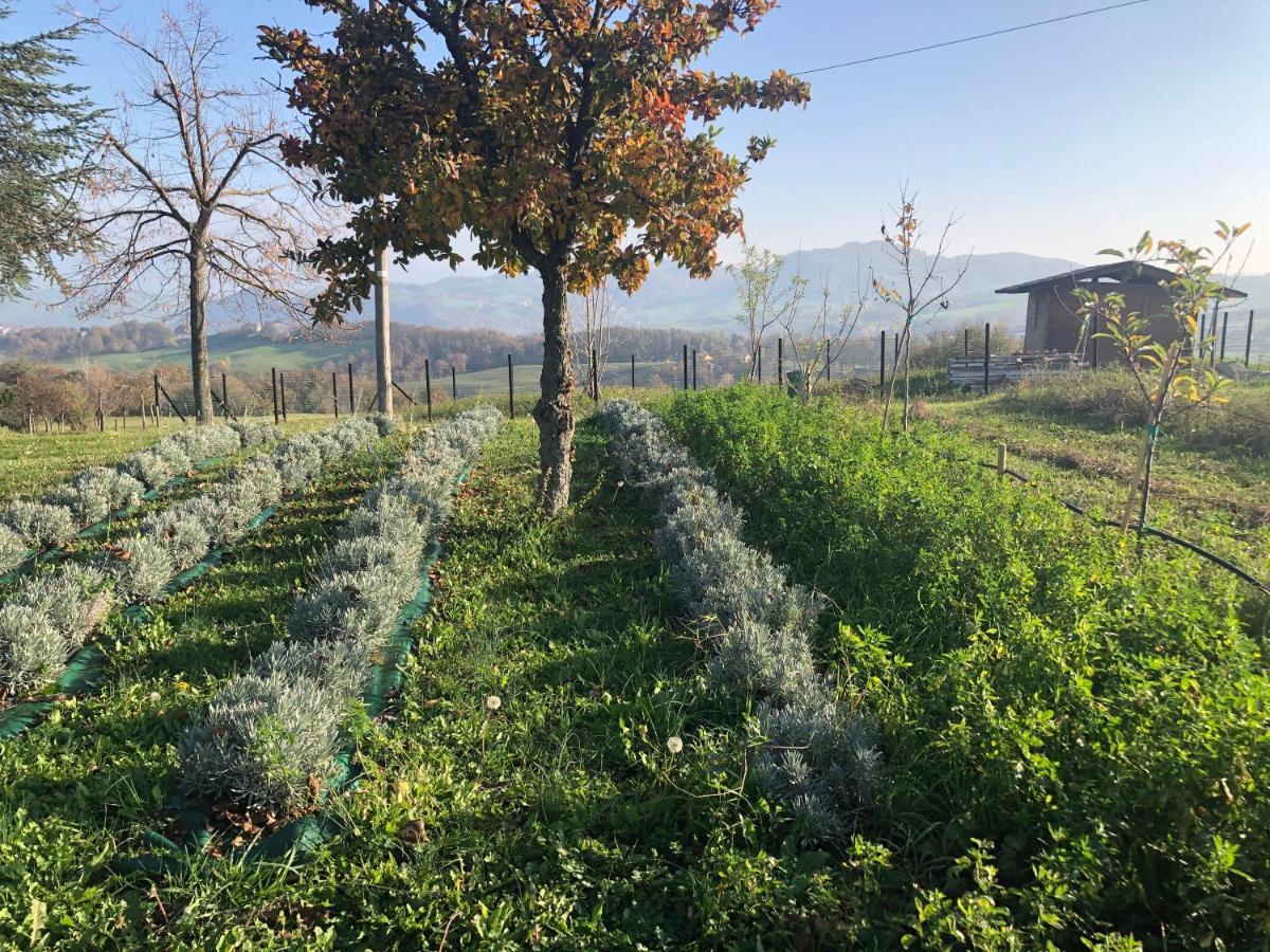 La Baita Nei Boschi Villa Serramazzoni Kültér fotó