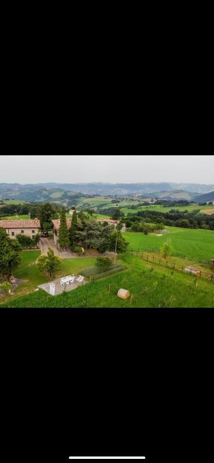 La Baita Nei Boschi Villa Serramazzoni Kültér fotó