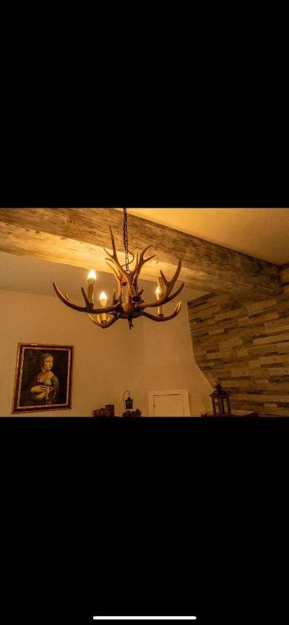 La Baita Nei Boschi Villa Serramazzoni Kültér fotó