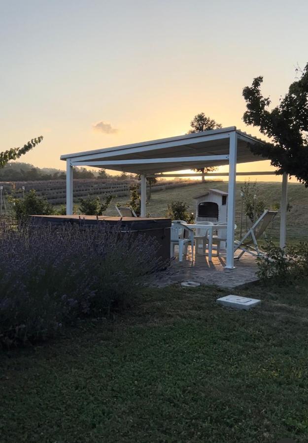 La Baita Nei Boschi Villa Serramazzoni Kültér fotó